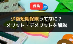 少額短期保険とは？メリット・デメリットを徹底解説！個性的な3つの商品も紹介